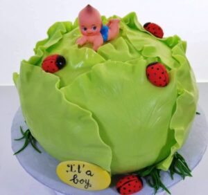 1882 – Cabbage Patch