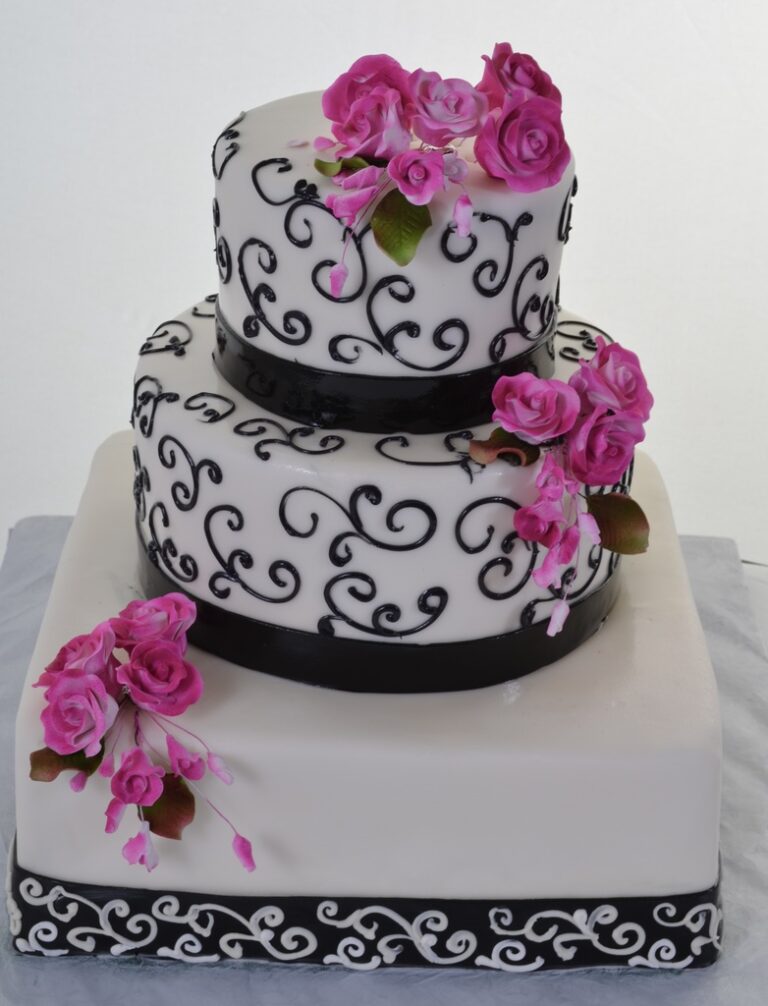 W562 – Black & Pink
