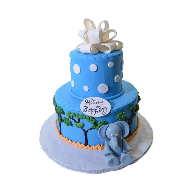 271 – Baby Boy Booties